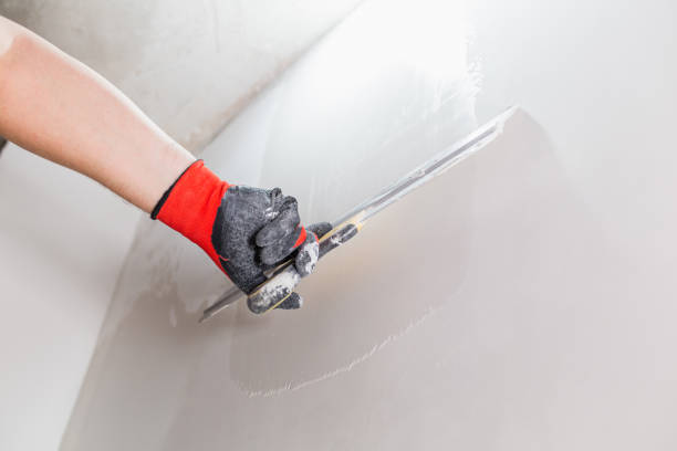 How to  Pick the Best Drywall Repair and Painting Company in Colorado